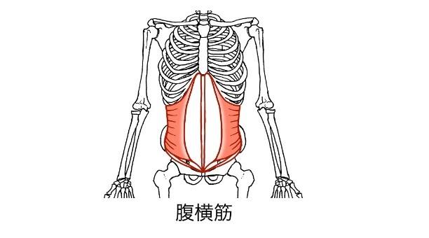第26回妊婦さんの姿勢~姿勢の軸にアプローチする方法~