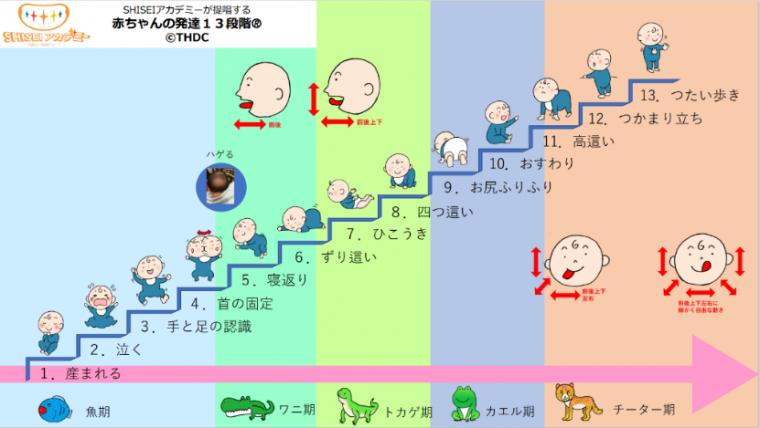 第26回妊婦さんの姿勢~姿勢の軸にアプローチする方法~