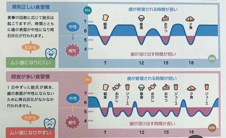 ともみ先生のハッピー子育てライフ第１6回   むし歯だけじゃなく、糖尿病も肥満も血管疾患も予防する「正しい食べ方」のお話