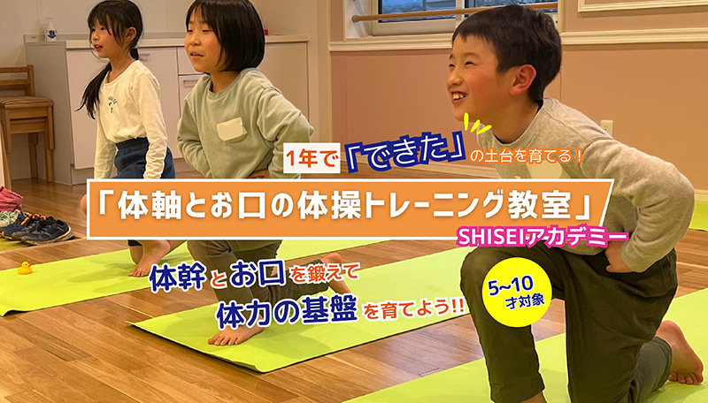 shisei01
