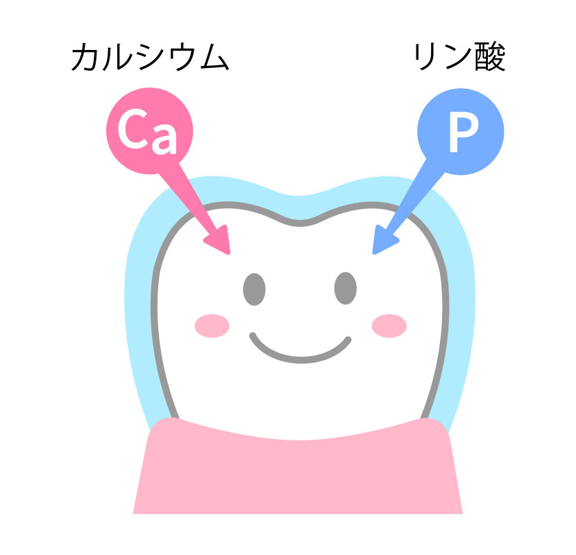 溶け出した歯の成分が元に戻る（修復される）再石灰化を促す